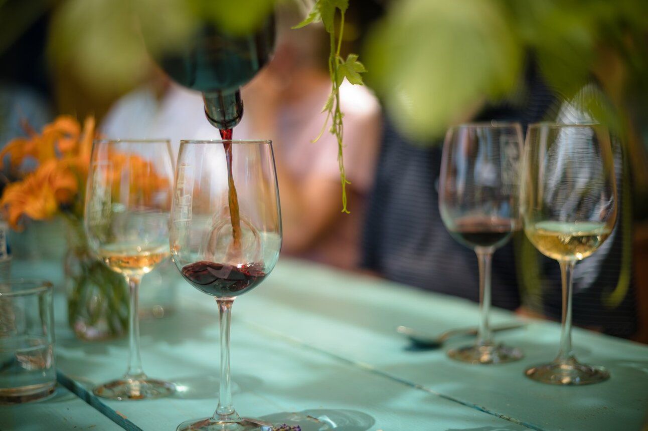 Western Colorado Wines: 15 Wineries Worth the Pour