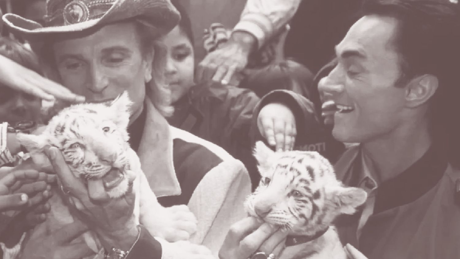 The Use of Animals in Magic Shows