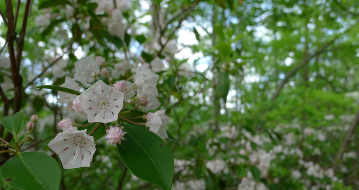 Upcoming Events - March 20, 2026