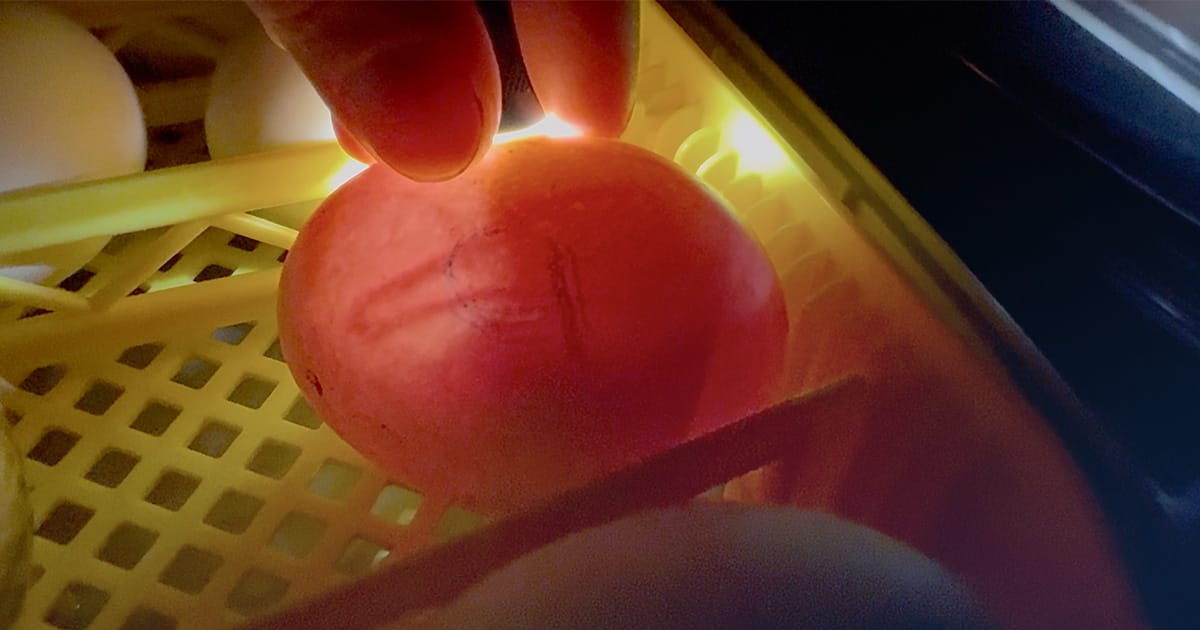 Approaching Pekin Lockdown Day