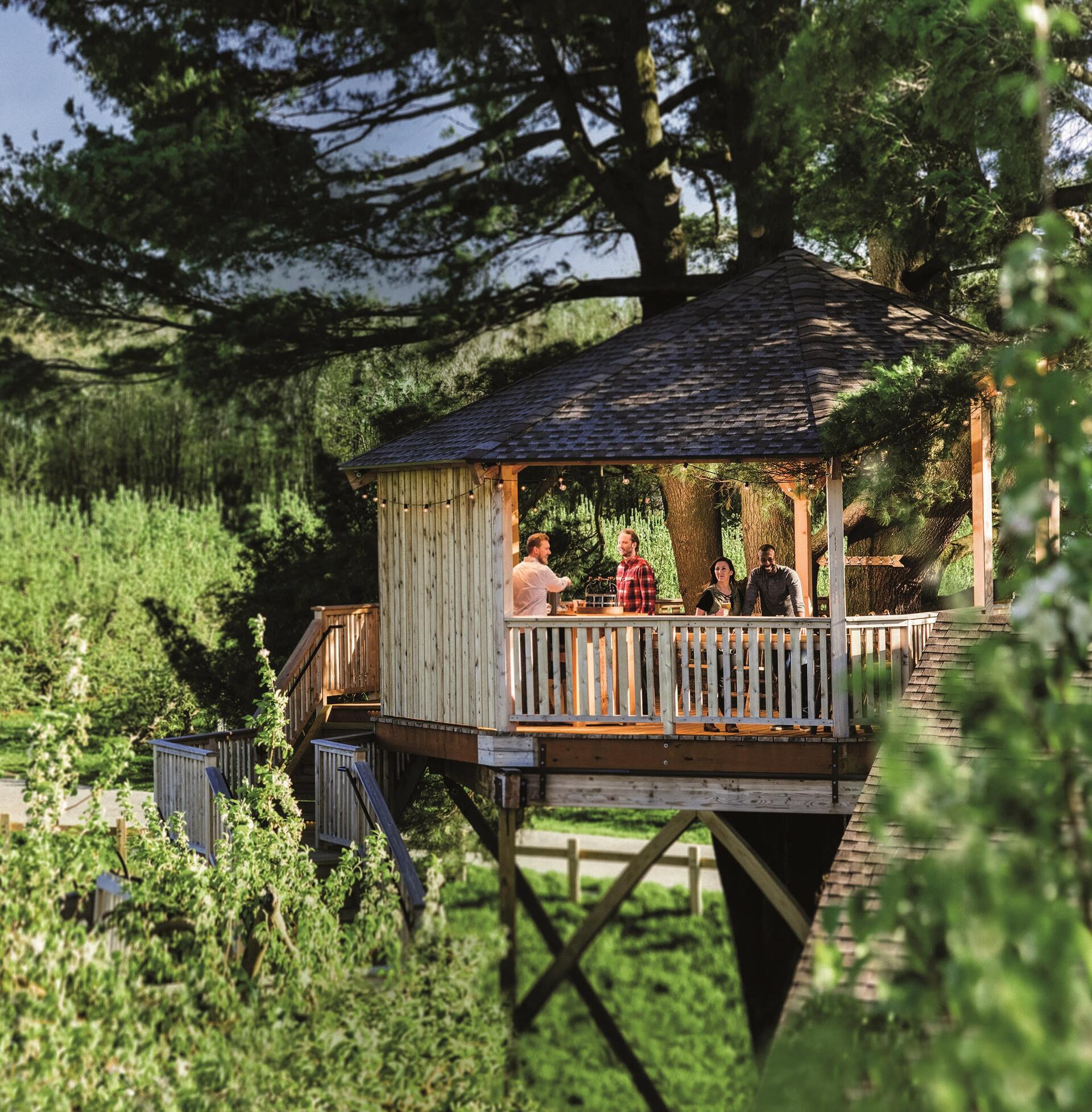 Adventuring through the Canadian Rockies