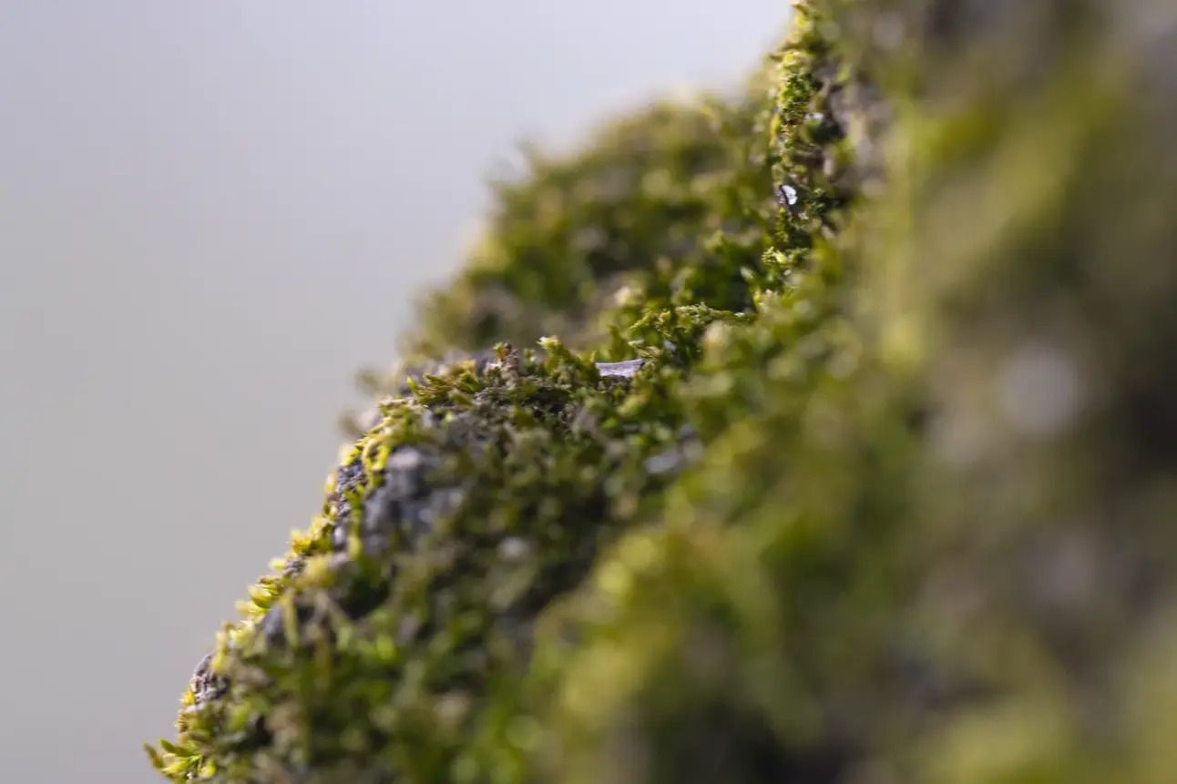 Week of June 1st in News - Stranger Things 5, Colorado Terrorist Attack, Bromance Breakup & A Volcano