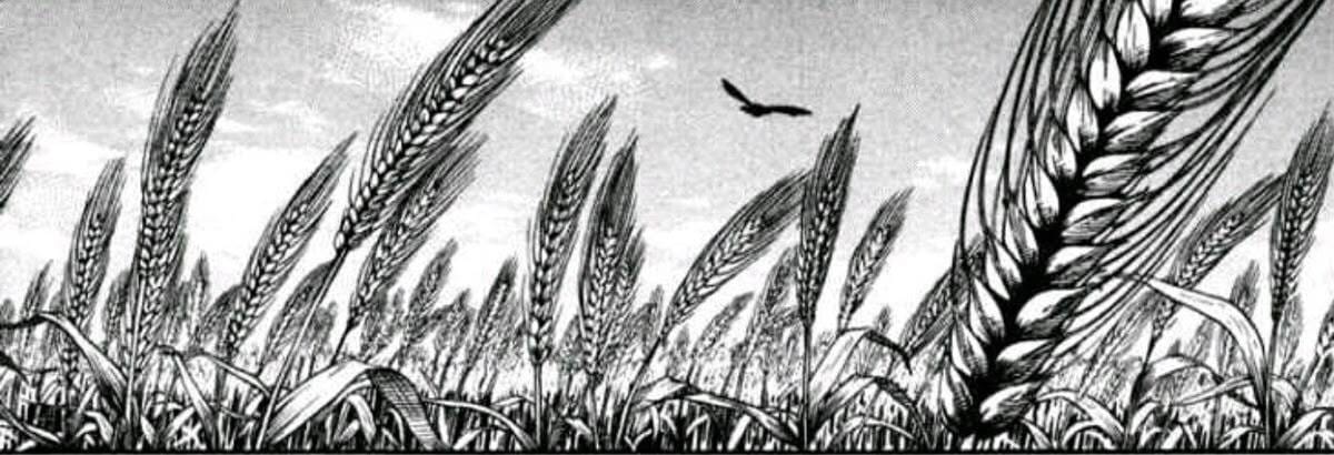 Adventuring through the Canadian Rockies