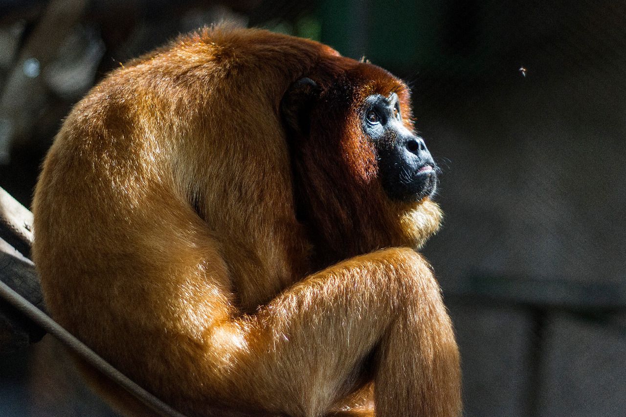 Adventuring through the Canadian Rockies
