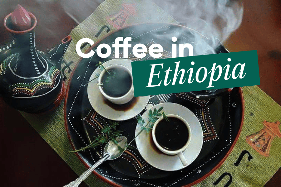 Adventuring through the Canadian Rockies