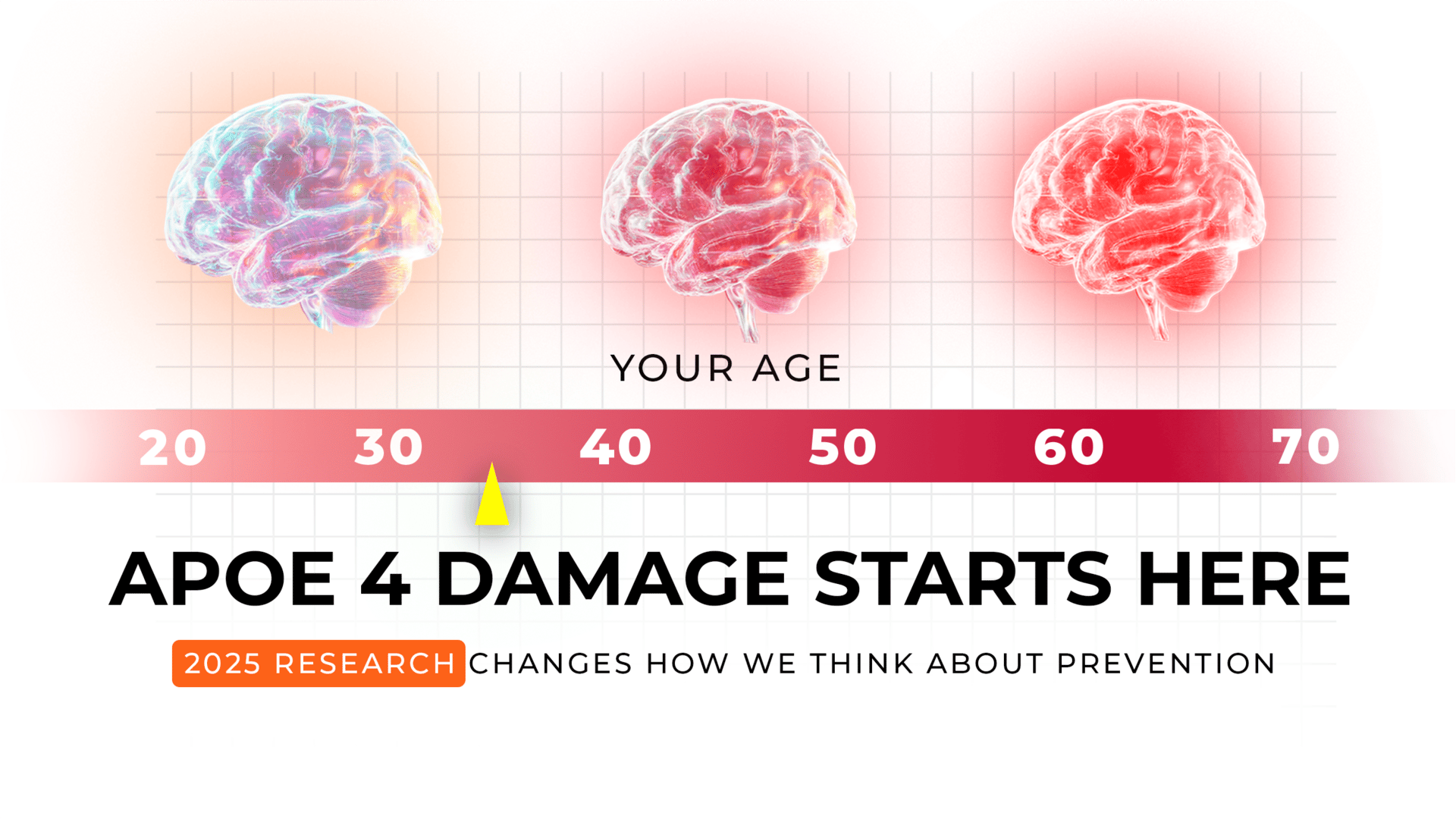 Adventuring through the Canadian Rockies