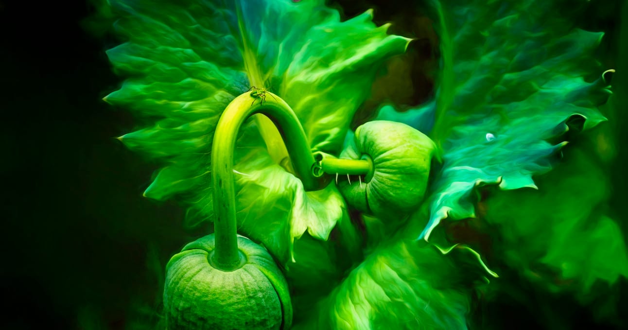 Breathing Light Issue #77