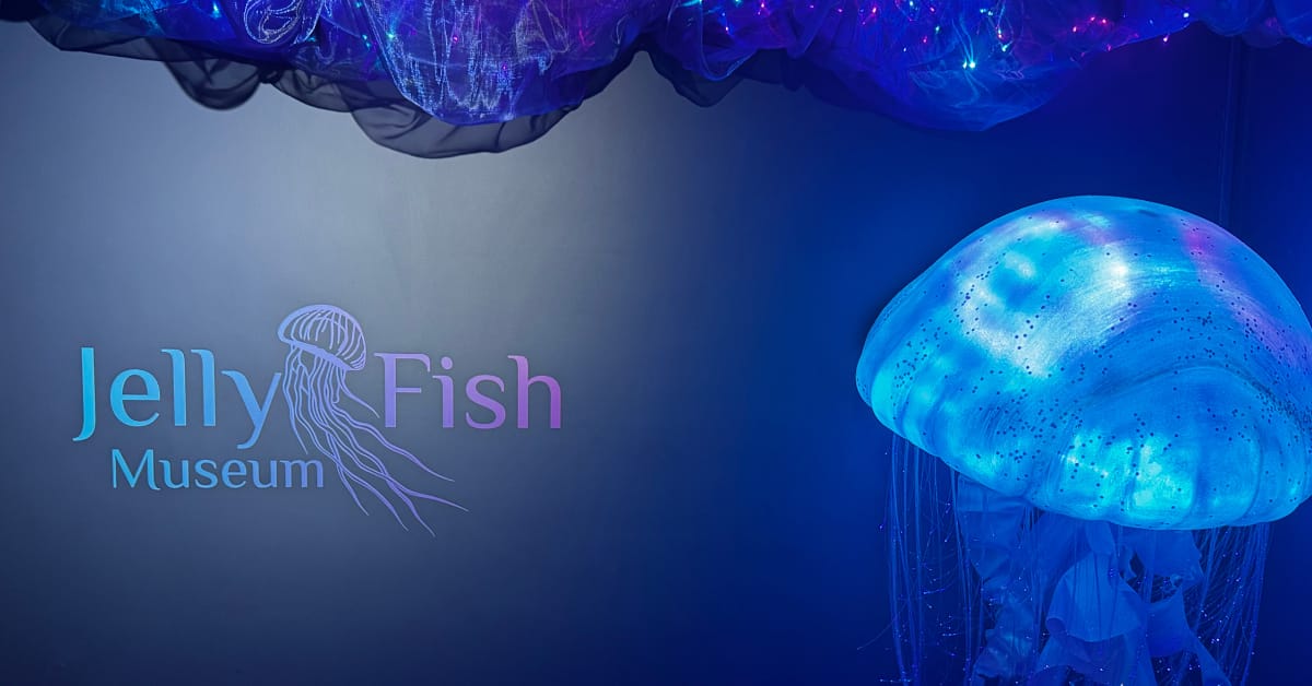 What is a group of jellyfish called? 🪼  