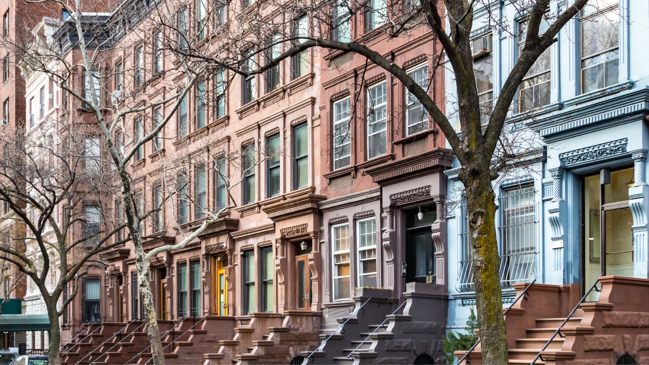 Issue #3: Spring Forward