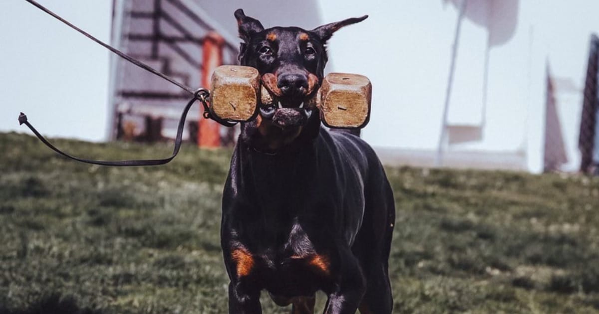 Adventuring through the Canadian Rockies
