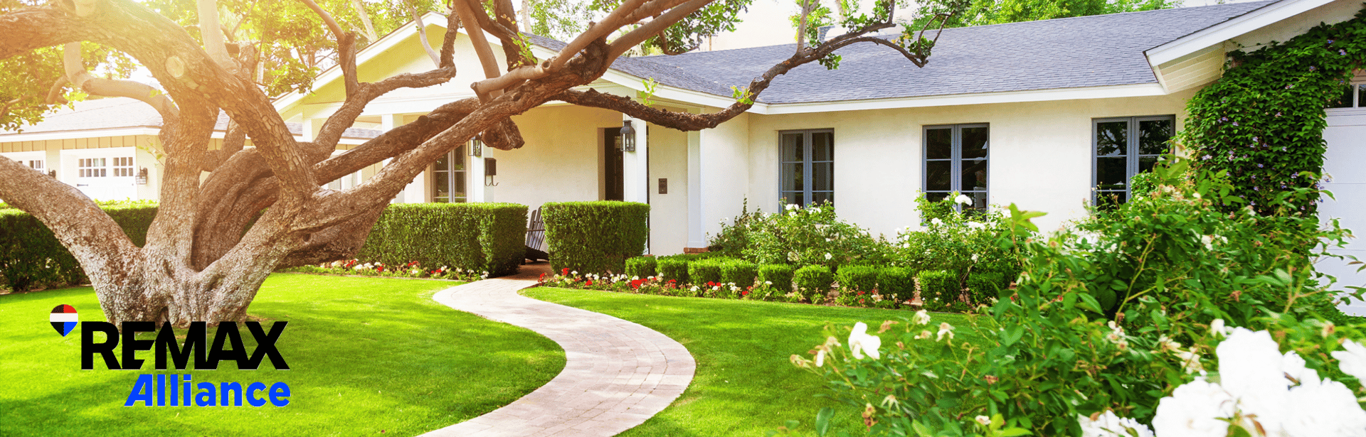 Heat of Summer Real Estate Update🏠