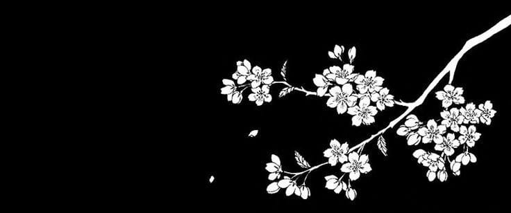 Adventuring through the Canadian Rockies