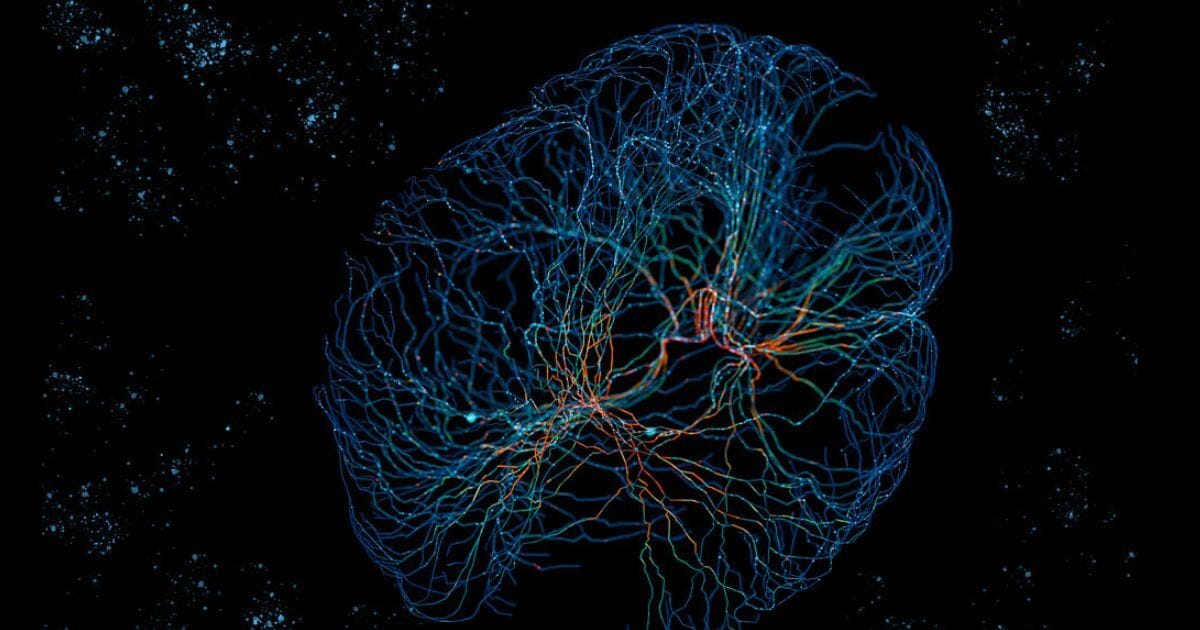 Adventuring through the Canadian Rockies