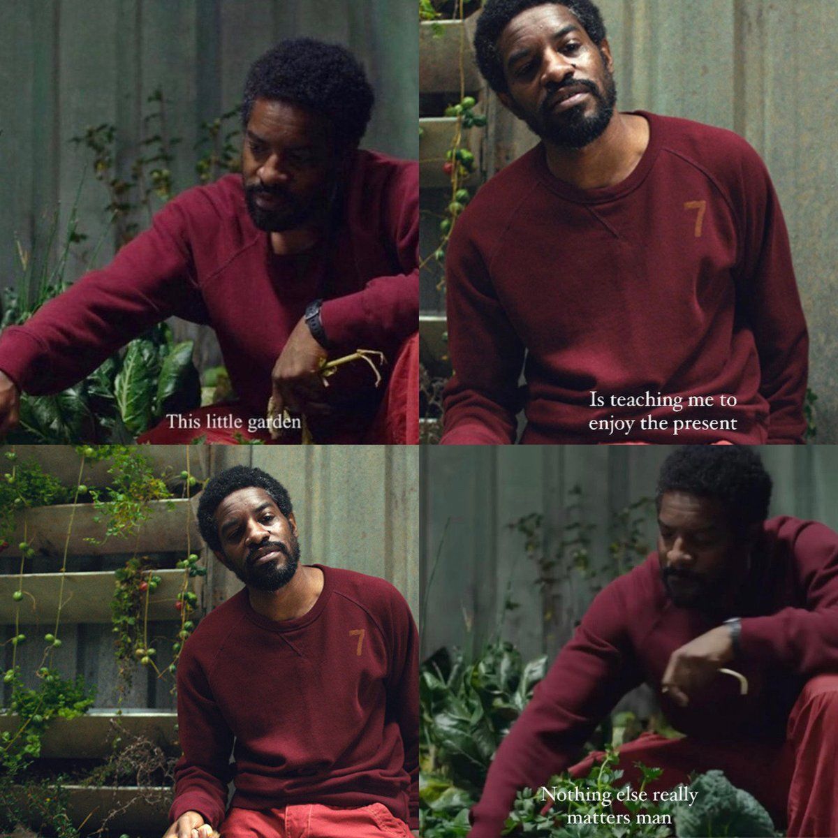 How big is your compost heap? ♻️