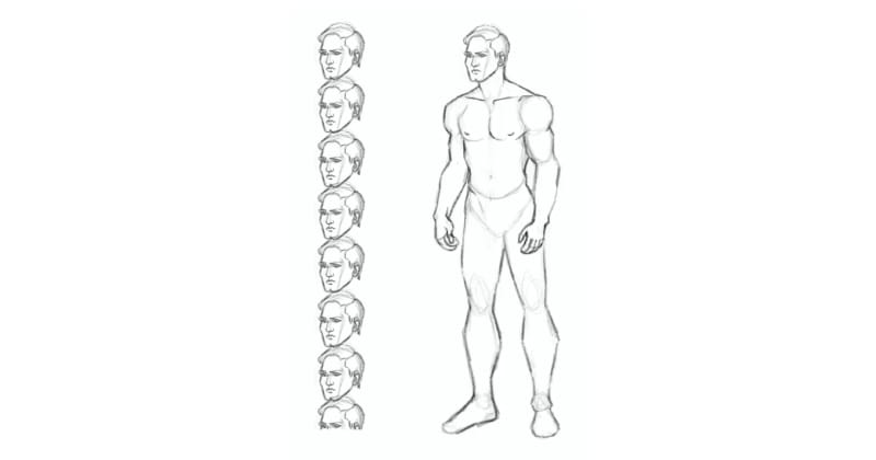 If you struggle with anatomy, this will help you