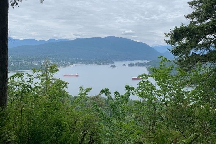 Dredging project in Burrard Inlet takes first steps, with many questions still unanswered