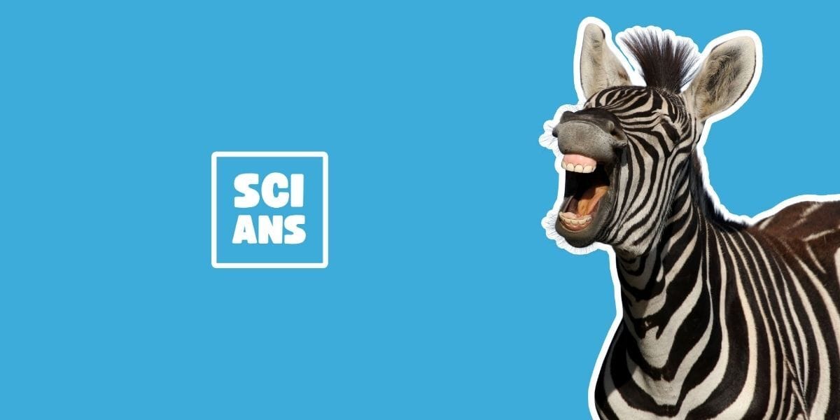 Adventuring through the Canadian Rockies