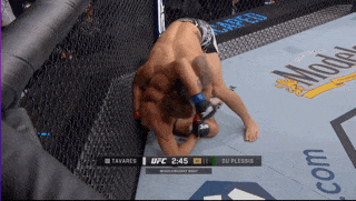 CleanShot_2025-07-31_at_13.16.00.gif