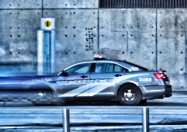 Can AI replace this essential service?