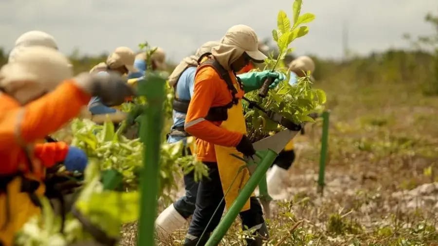 UN Recognizes new Environmental Restoration Initiatives. How do Gayborhoods Influence the Future of Cities?