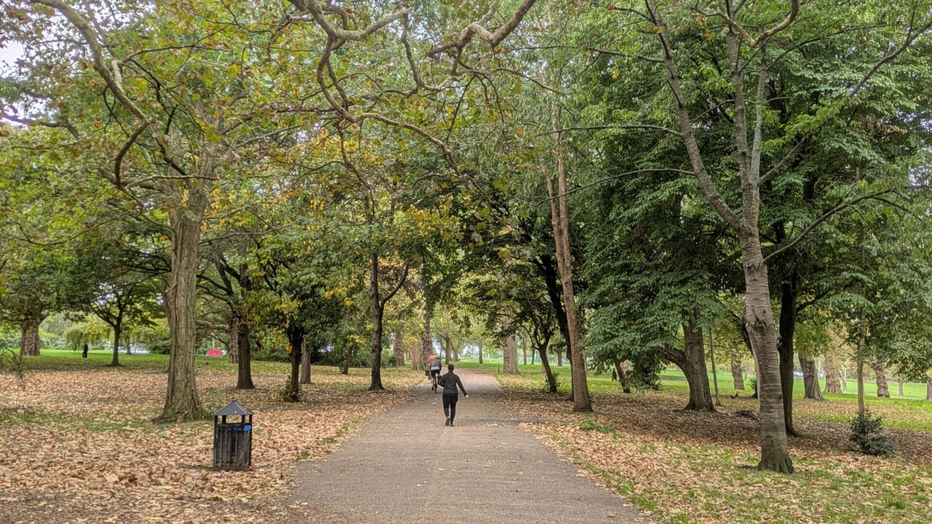 Adventuring through the Canadian Rockies