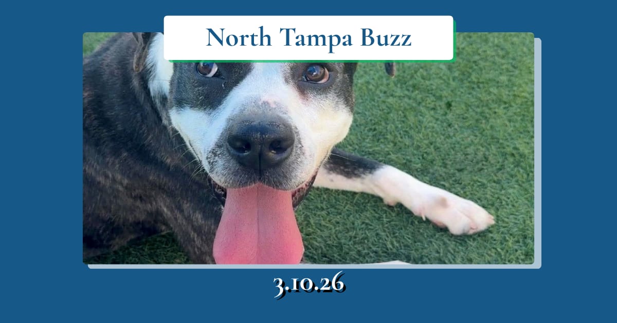 Spring Burritos, Onyx &