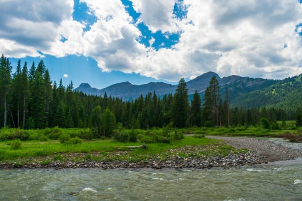 Tiny AI Stock DVLT Six Straight Weeks Gargantuan Volume . . . . What's Next?