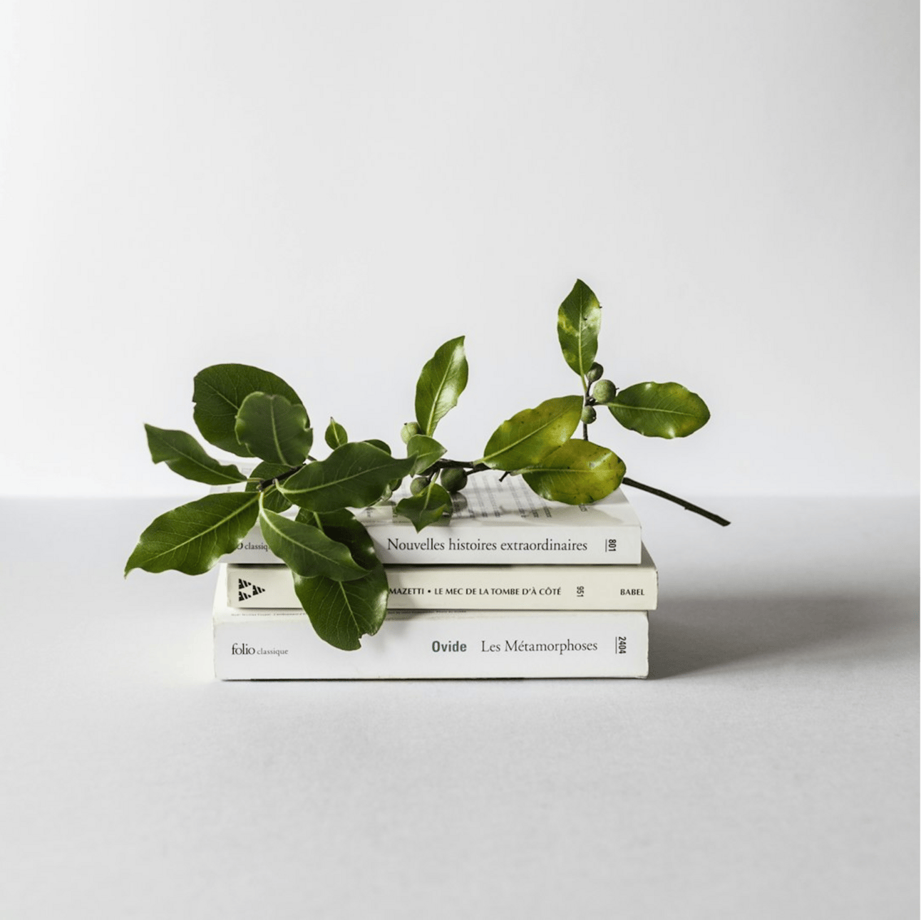 Adventuring through the Canadian Rockies