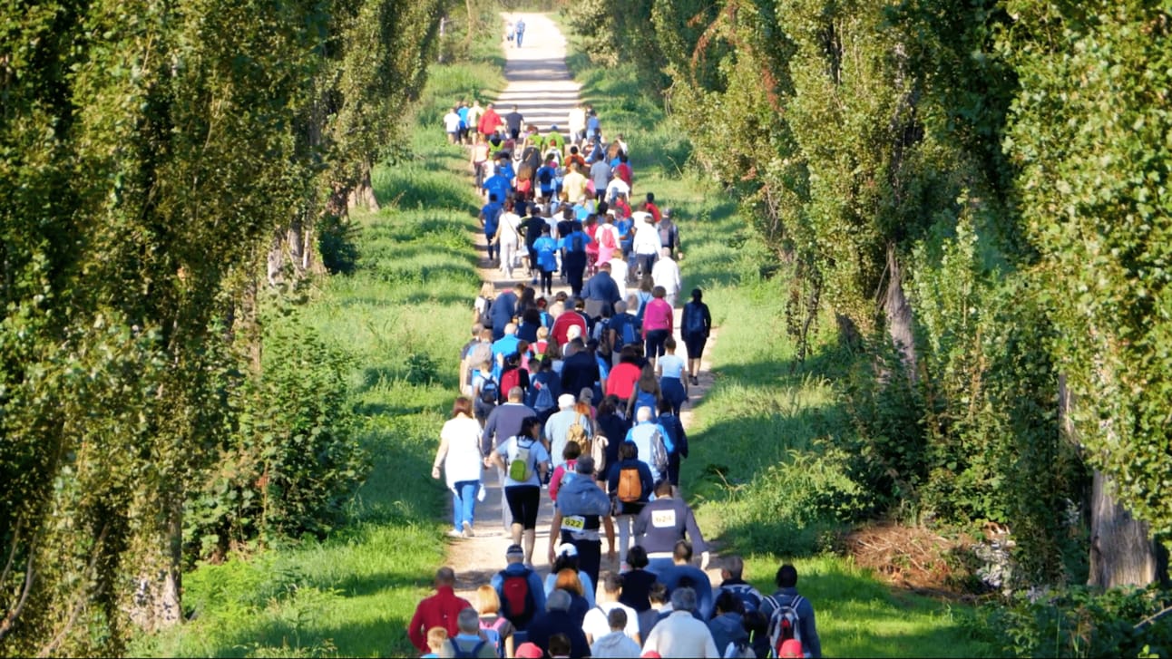 Torna la Corsa del Conte 