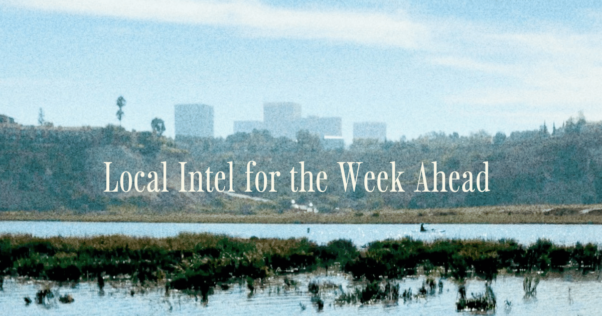 🌊 Local Intel for the Week Ahead 