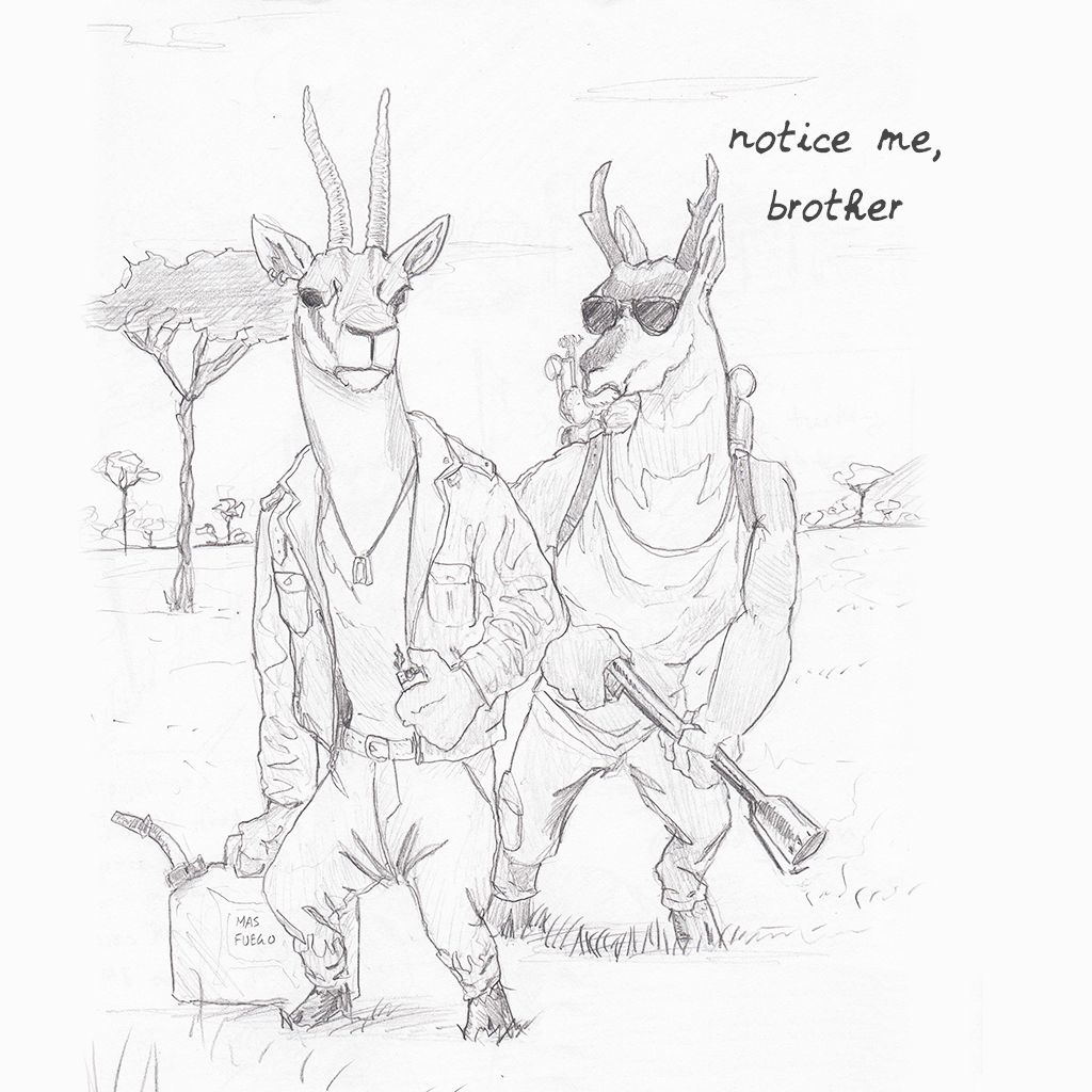 Adventuring through the Canadian Rockies