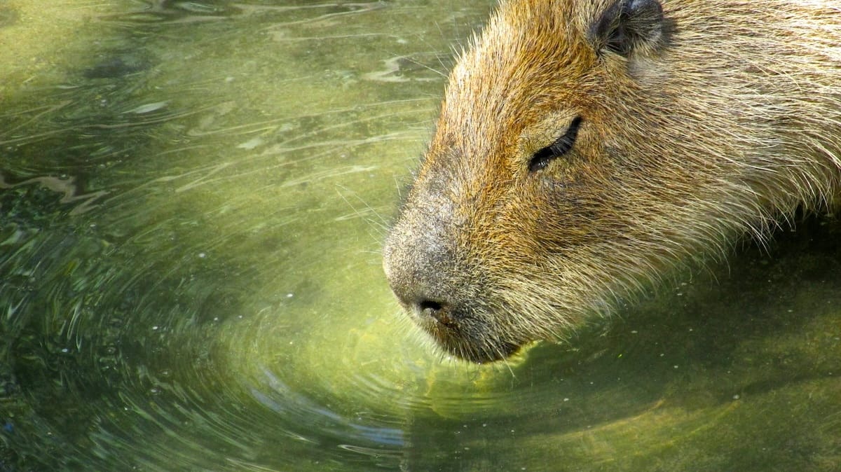 Adventuring through the Canadian Rockies