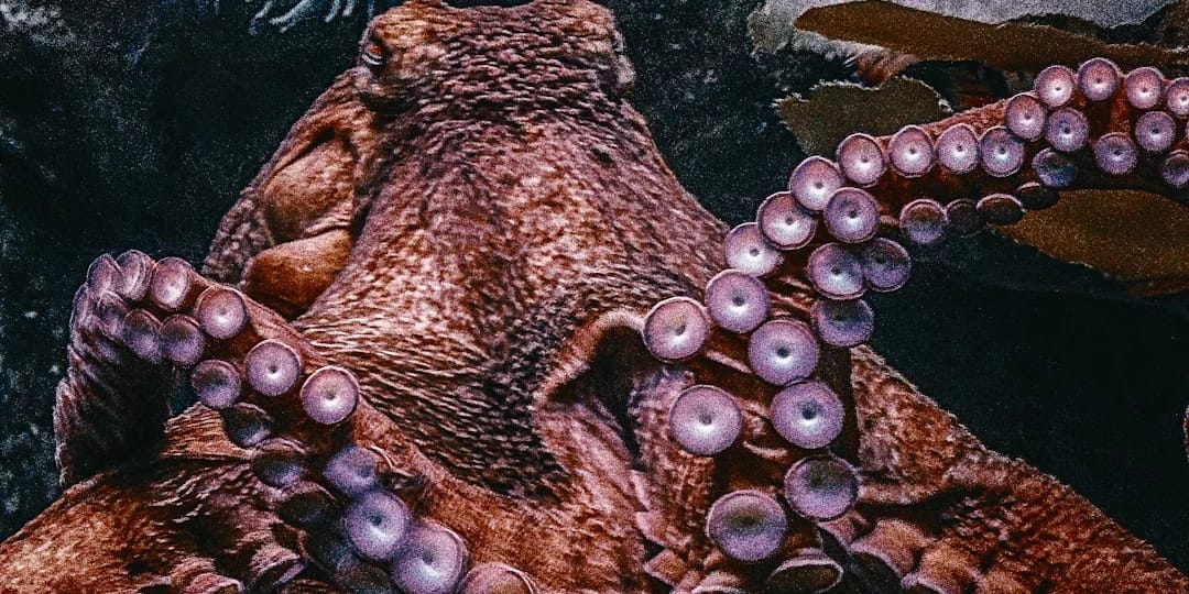 Adventuring through the Canadian Rockies