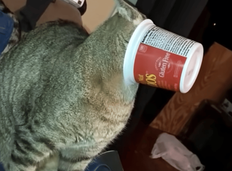 The art of distraction.