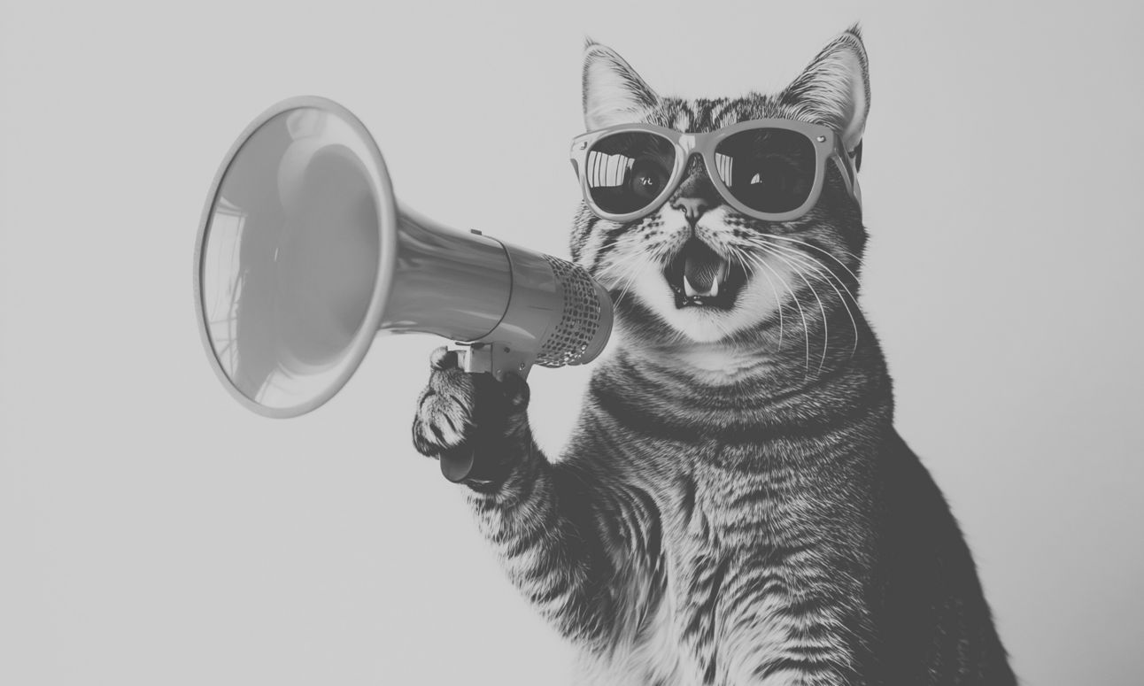 Should The Online Comment End?