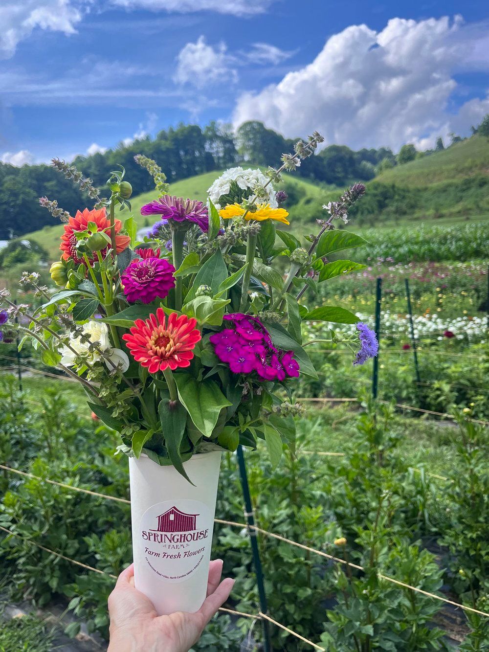 End of Summer and Fall Booking Deals (1)