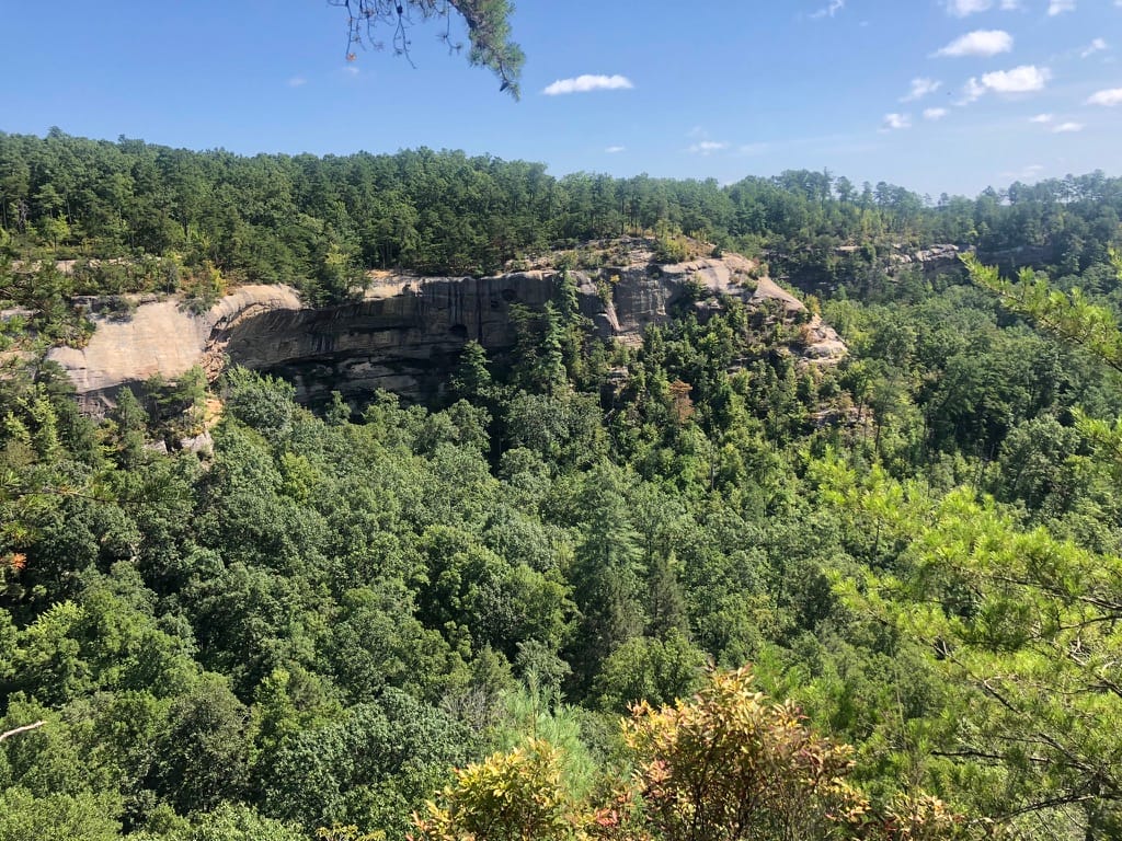 The Place They Tried to Drown