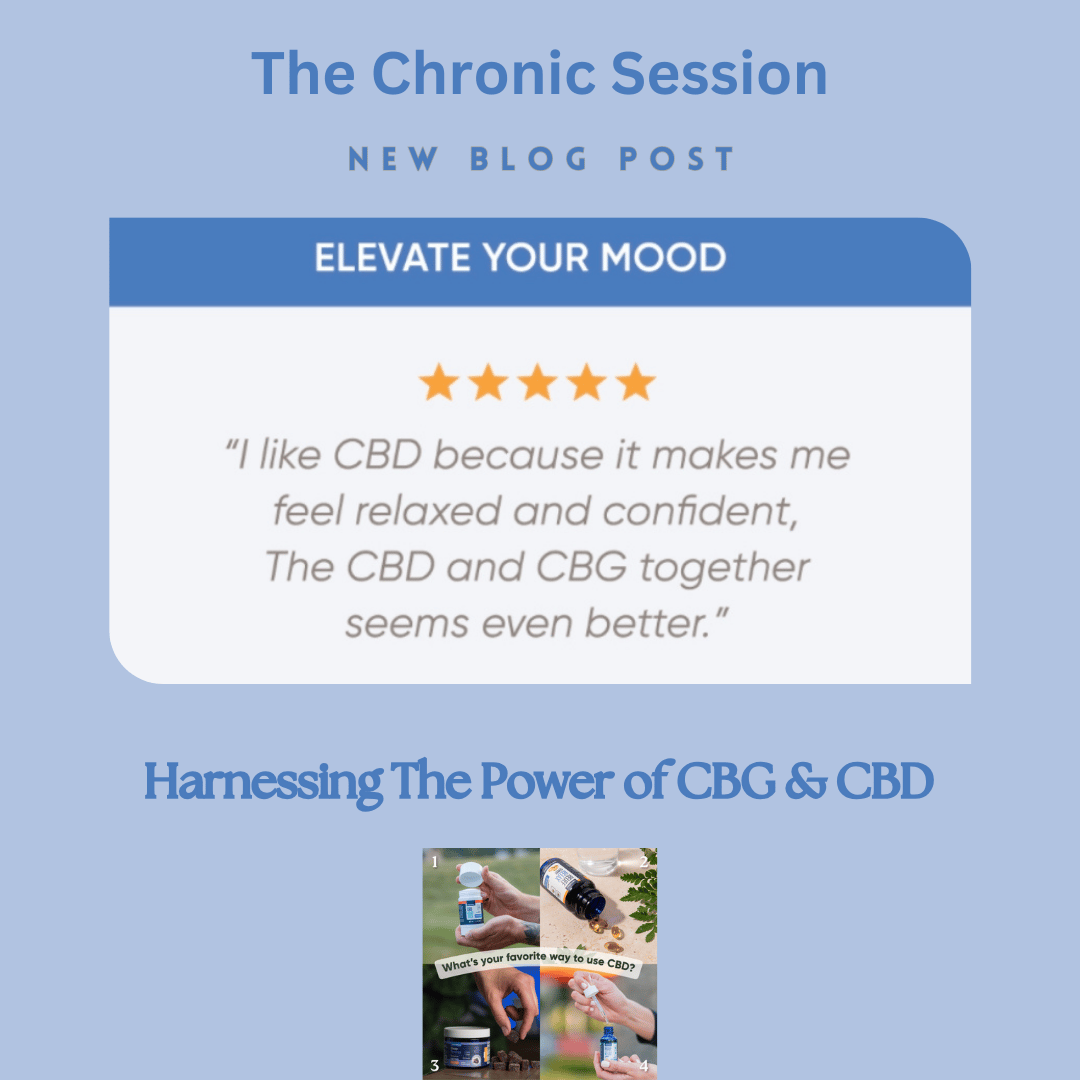 Adventuring through the Canadian Rockies