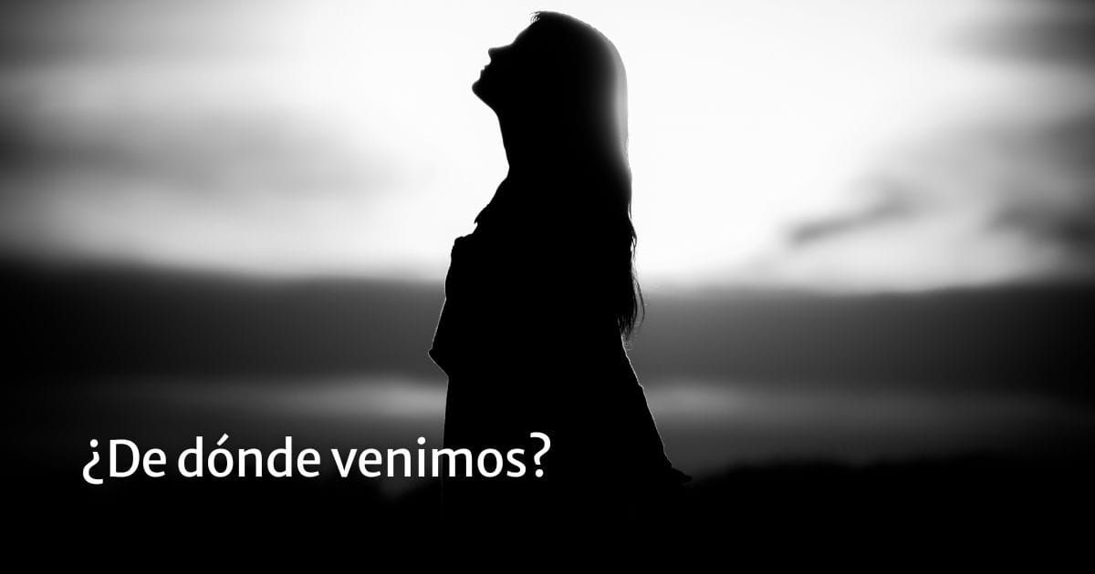 ¿De dónde venimos?