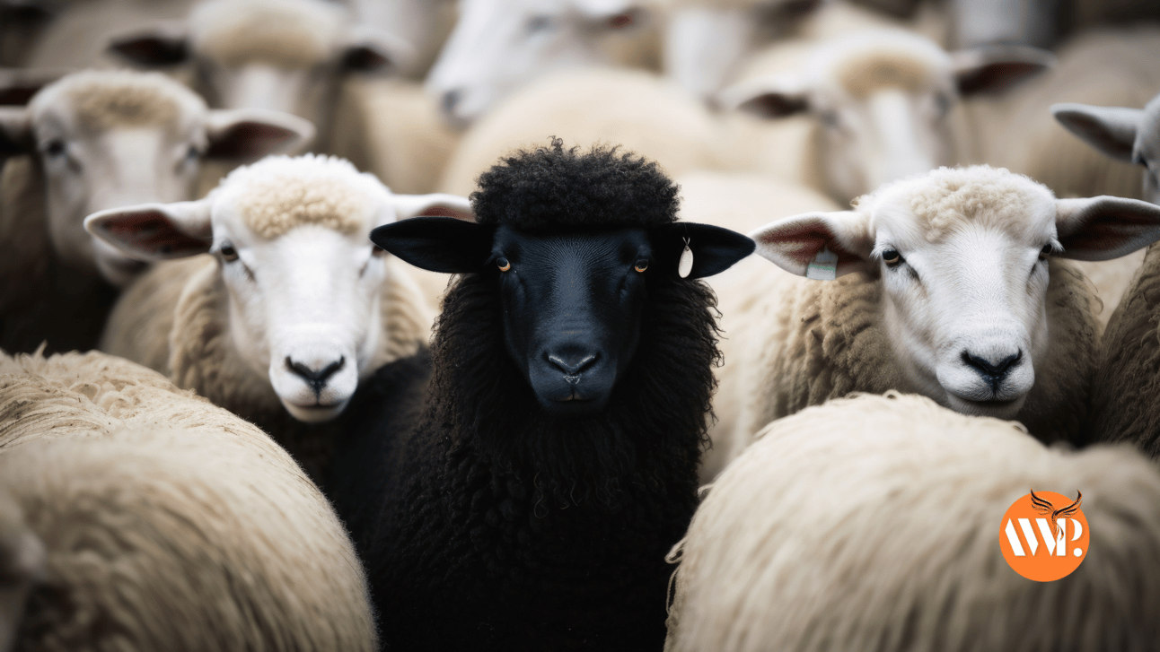 The Rise of the Black Sheep from Outdated Family Perceptions