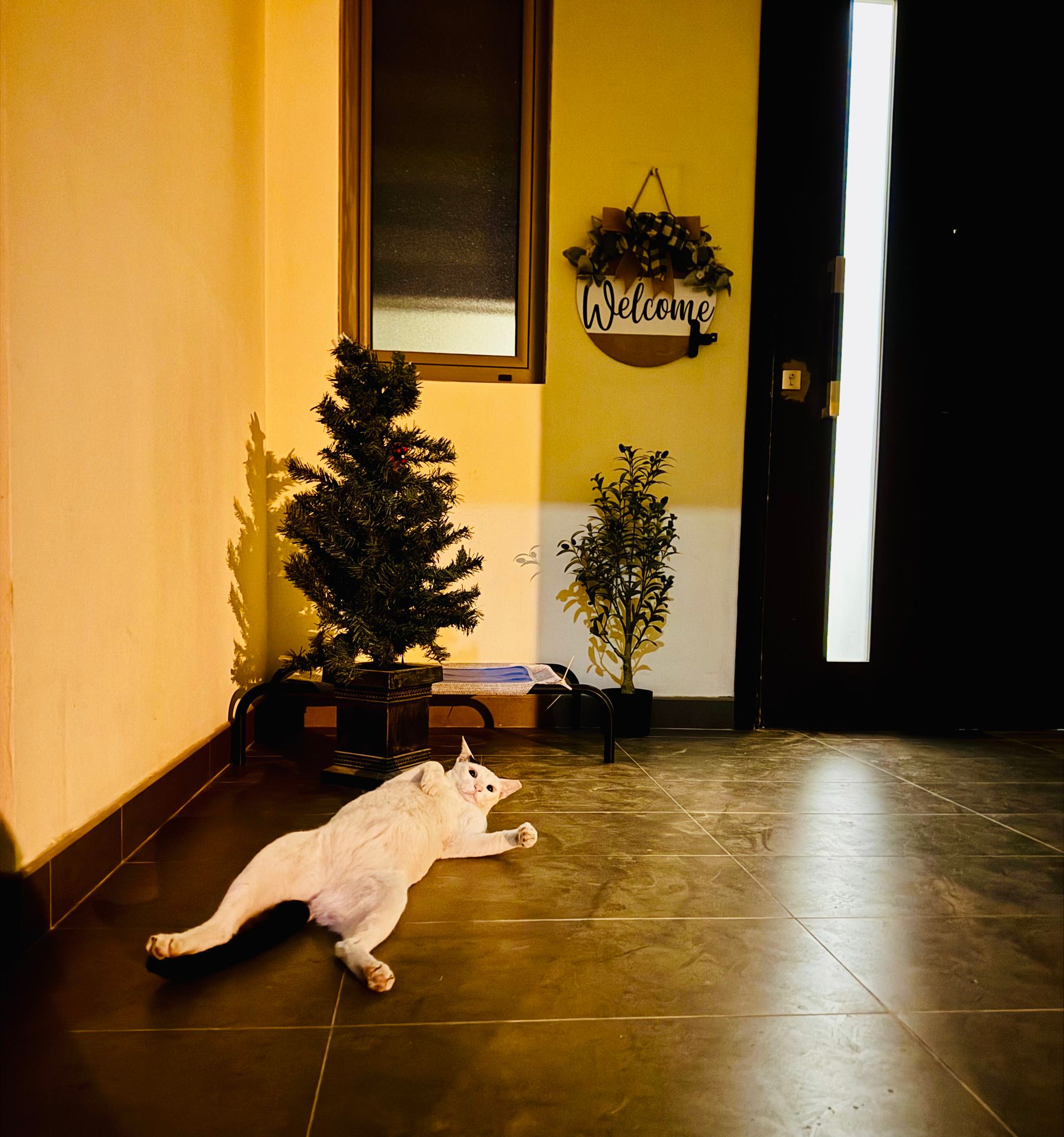 Our Evacuation from Bahrain