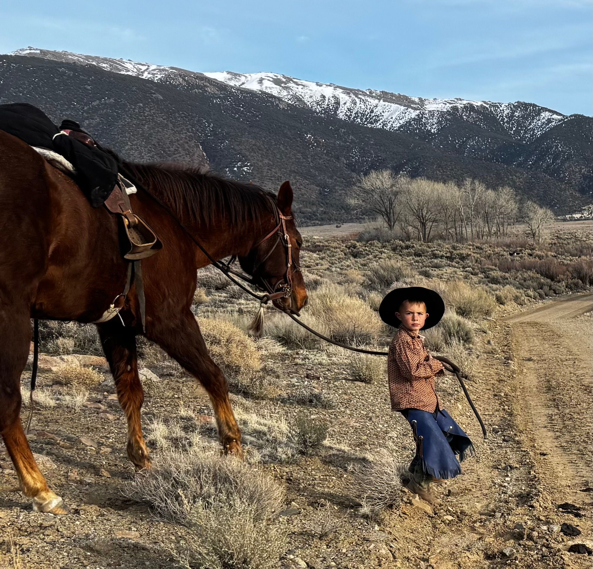 Back in the Saddle...