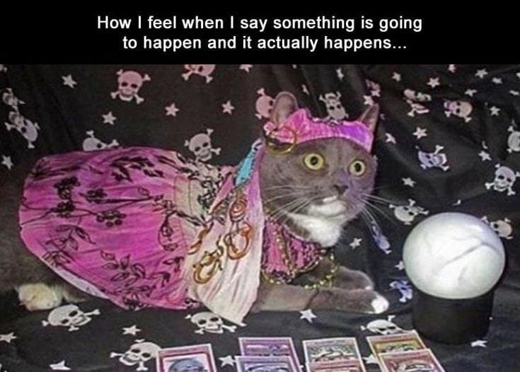 The Joy Drop: February 2026