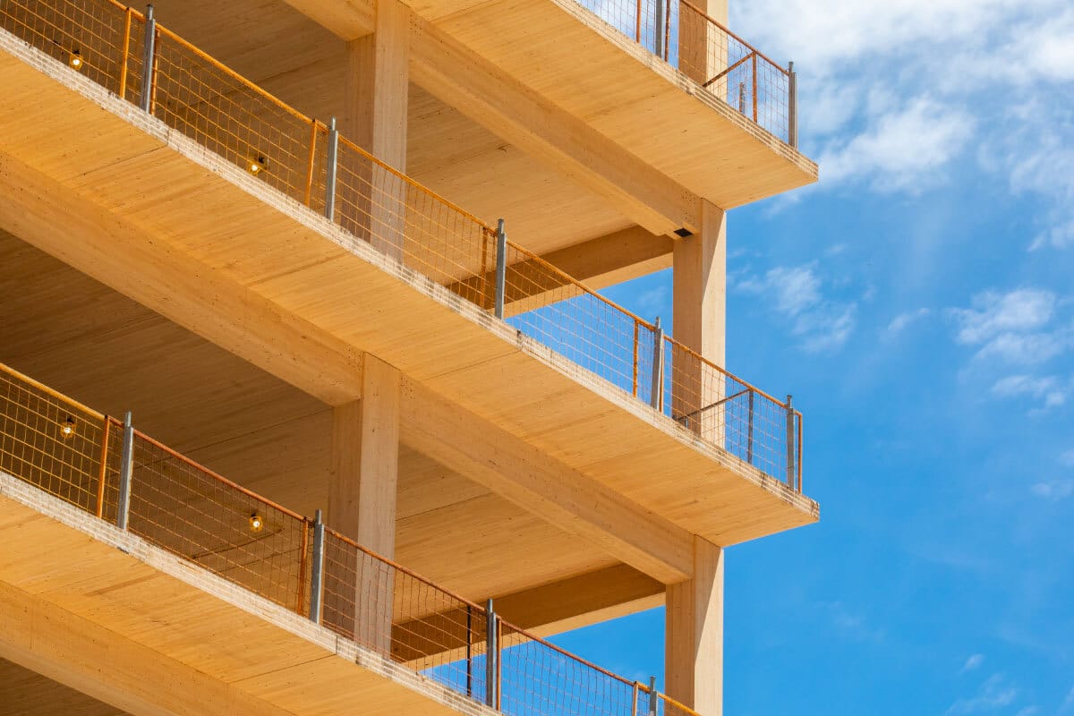 1/29/24: The Mass Protest Against Mass Timber