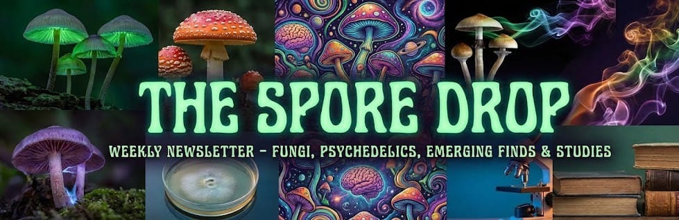 This Week Psychedelics Got Serious