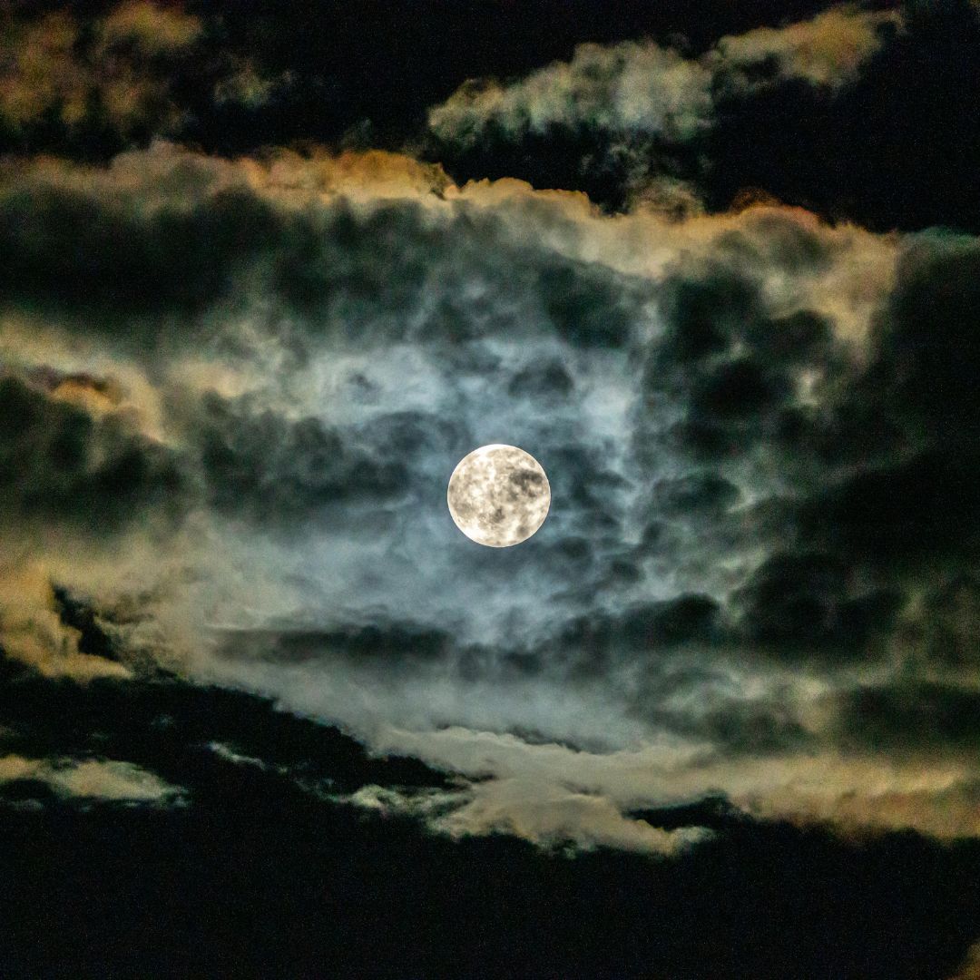 In the Thick of The Fog