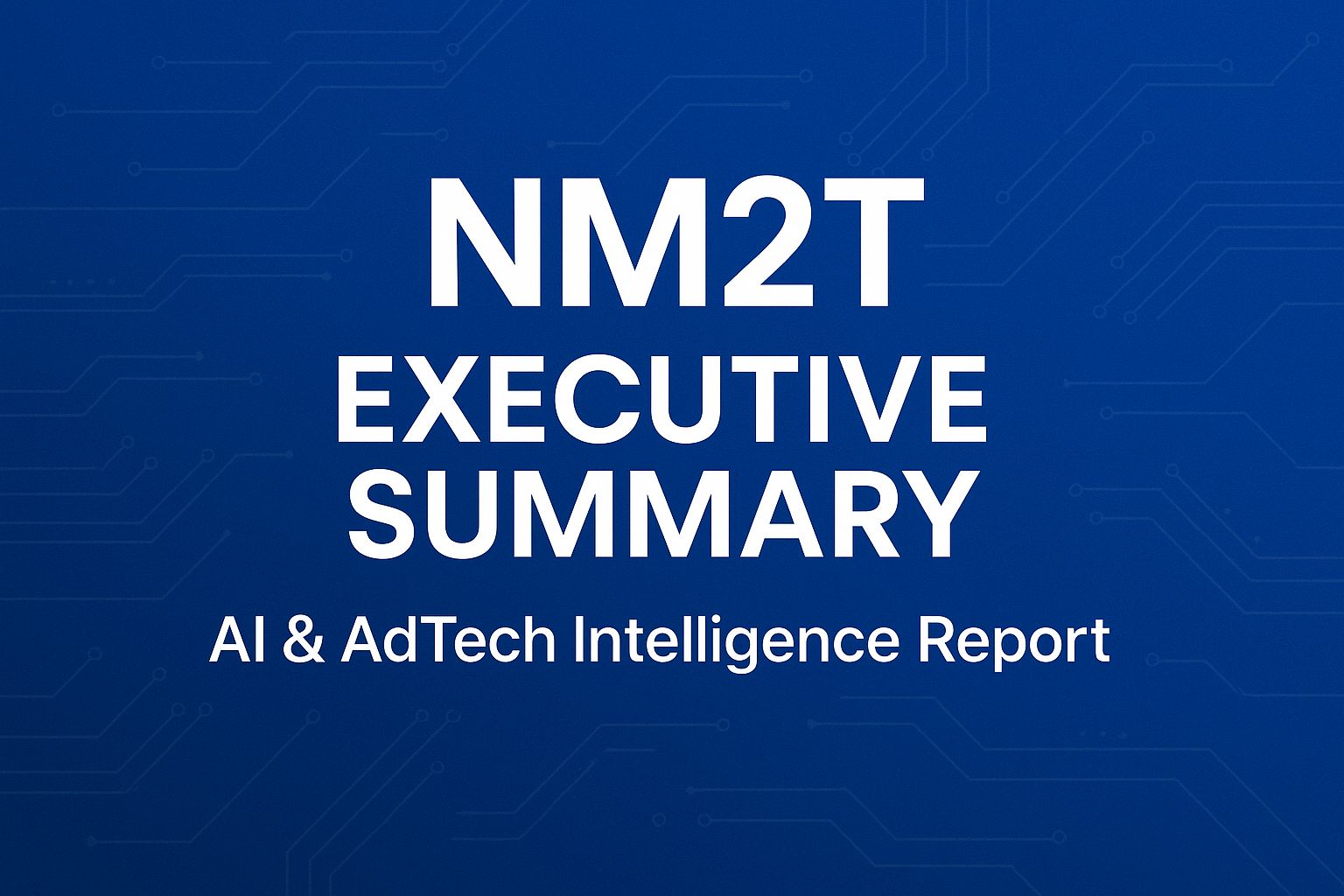 NM2T Newsletter Executive Summary