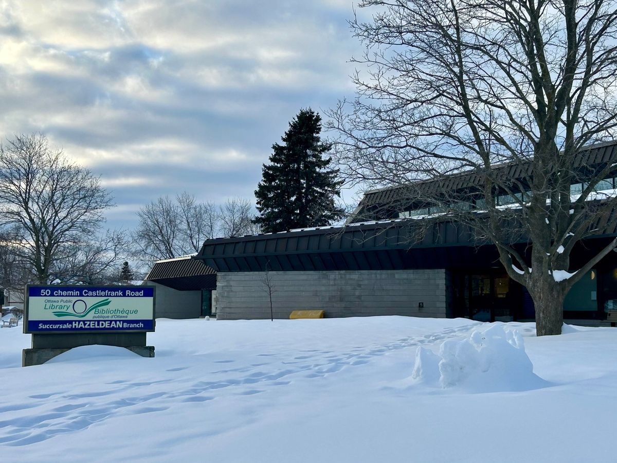 Demands for literacy, communities and a 'third place' drive plans for more libraries