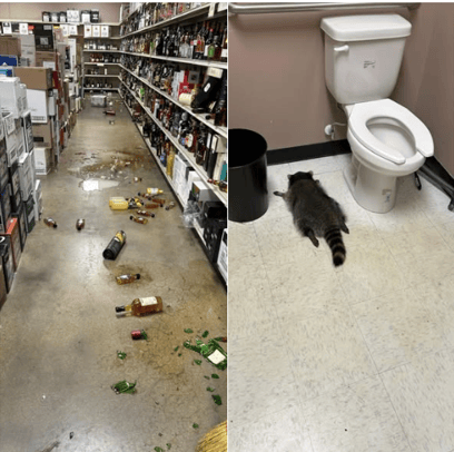 In this issue: PR Lessons From a Liquor Store, Teen Media Distrust, and a Style Guide Standoff