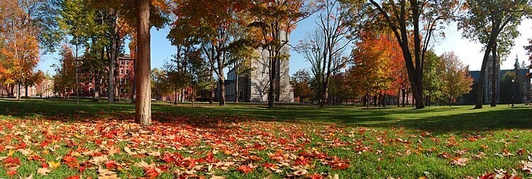Golden Leaves and the American College Dream: A Love Letter to Fall